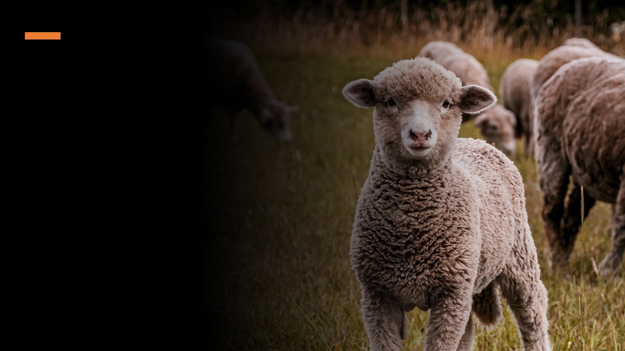 Three Things: How God Does Battle